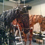 War.Horse.reh.AN