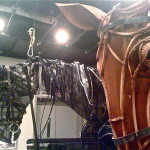 War.Horse.reh.AV